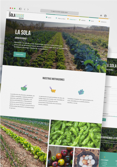 Diseño web para CAONGD