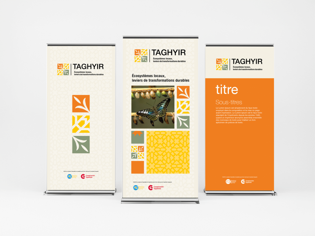 Roll up - diseño para Asamblea de Cooperación por la Paz - Proyecto TAGHYIR