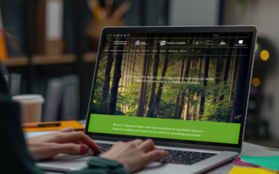 Diseño web institucional: el caso Empleaverde+